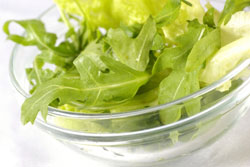 Arugula for salad