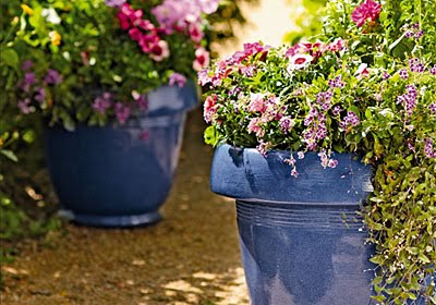 Planters with Energized Potting Mix