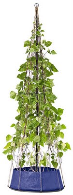 Bean Grow Bag